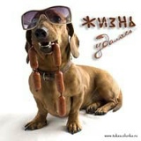 Наталья Кондрашина, 19.01.1978, Хабаровск