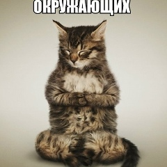Григорий Шыбздикофф, Санкт-Петербург