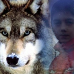 Иван Горган, 12.11.1977, Кантемир