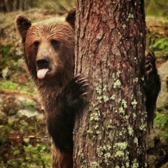 Димасик Шнапс, 19.10, Ставрополь