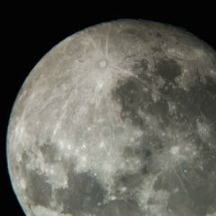 Ануш Григорян, 04.02, Кисловодск