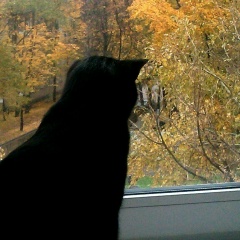 Галина Беликова, 20.11, Москва