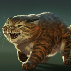 Роман Вяткин, 21.01.1988, Пермь