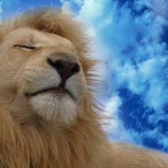 Мальсагов Магомед, 11.02.1992, Грозный