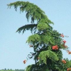 Svetlana Bel, Москва