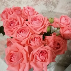 Ольга Курносова, 27.06.1977, Самара