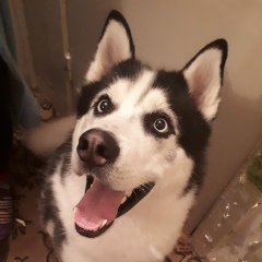 Вадим Щербинин, 10.09.1996, Санкт-Петербург