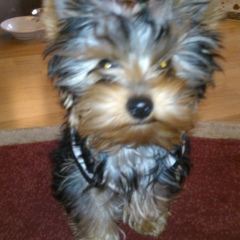 Александр Буденный, 13.08, Екатеринбург