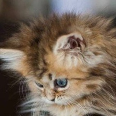 Мария Баулина, 30.04, Москва