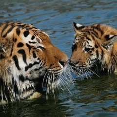 Эмир Айдаров, 29.05.2000, Шымкент