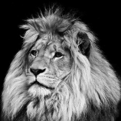 Kuanysh Dzhanzhulov, 02.06, Талдыкорган