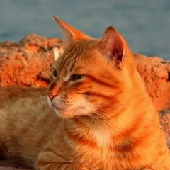 Дмитрий Иванов, 06.06