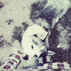 Юля Горошко, 01.09.1997, Донецк