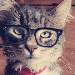 Никита Сайткулов, 15.01.1988, Москва