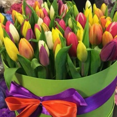 Толкын Абдрахманова, 03.11.1968, Кульсары