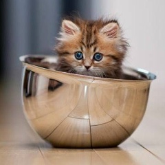 Фёдор Васильевич, 31.12.1920