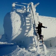Elinka Gomulina, 23.01.1990