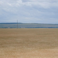Константин Курушин, 01.12, Санкт-Петербург