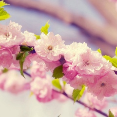 Aizhan Yelikbayeva, 04.08, Алматы