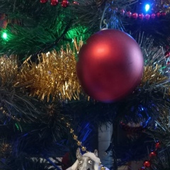 Татьяна Варб, 18.04, Санкт-Петербург