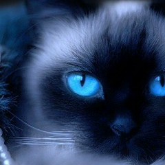 Регина Сергеевна, 29.05, Зеленоград