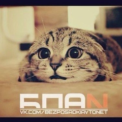 Дима Комяков, 10.11, Москва