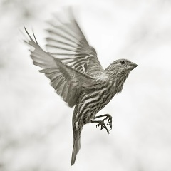 Никита Шляков, 16.07.1984, Санкт-Петербург