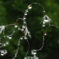 Людмила Полищук