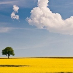 Лео Хачик, 14.08.1985, Симферополь