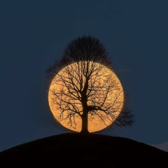 Салтанат Амангелди, Актобе