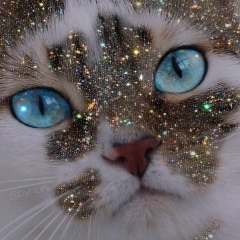 Алла Андреева, 16.03.1996, Москва