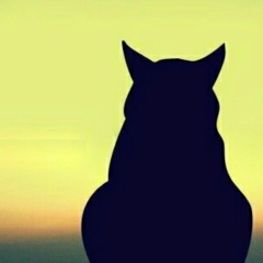 Анна Меженкова, 26.05