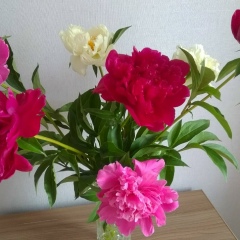 Наталья Долгова, 21.10.1960, Екатеринбург