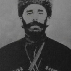 Ильяс Дикий