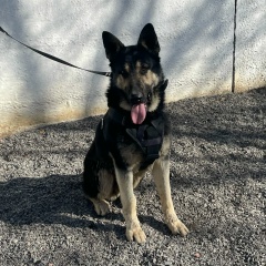 Павел Иванов, 23.07, Алматы