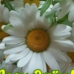 Георгий Шолохов, 08.06.2004