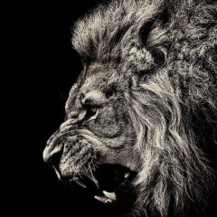 Равшанбек Назиржанов, 27.03.1992, Новосибирск