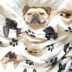 Елена Андронова, 10.02, Мурманск