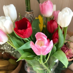 Сельби Ишанова, 14.12.1991, Ашхабад