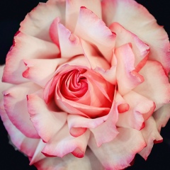 Ирина , 23.11, Кировск