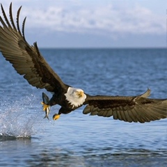 Олжас Тулепбергенов, 31.10.1992, Шардара