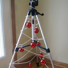 Сергей Полонский