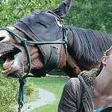 Александр Великотцкий, 21.07.1965, Братский