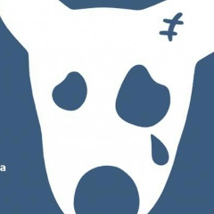 Герман Савчук, 28.01, Санкт-Петербург