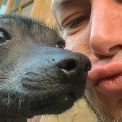 Дмитрий Тарасов, 25.07.1976, Москва