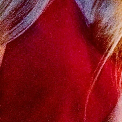 Оля Веснина, 08.09, Казань