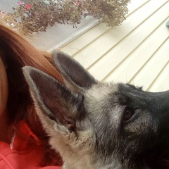 Екатерина Бутырская, 25.01, Одесса