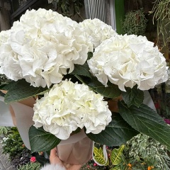 Эмма Байрамова, 07.07.1992, Черемное с/з