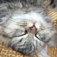 Наташа Иванова, 05.05, Кропивницкий / Кировоград