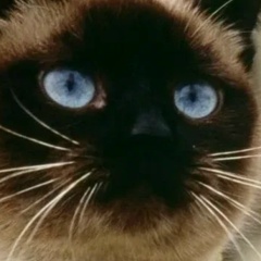 Lil Gurl, Нальчик